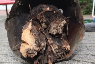 Turmspitze der »Maria-Hilf«-Kapelle muss dringend renoviert werden