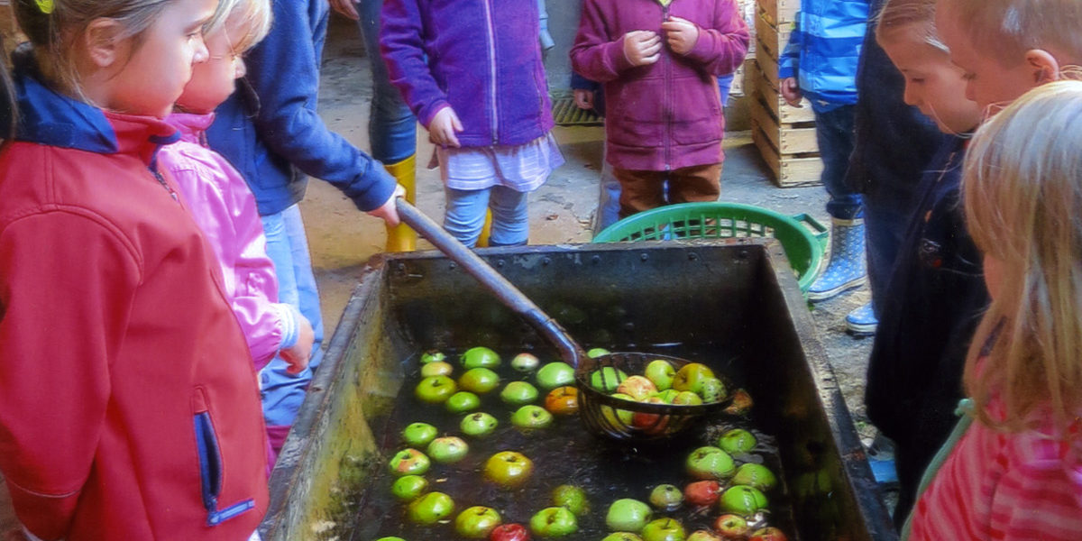 2016-10-10-uh-christa-schwarz-kindergarten-kleine-wolke-apfelprojekt-1