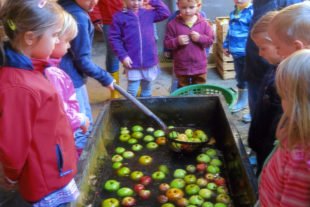 2016-10-10-uh-christa-schwarz-kindergarten-kleine-wolke-apfelprojekt-1
