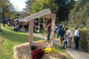 Gallenkilwi-Schaukasten-Altes Handwerk