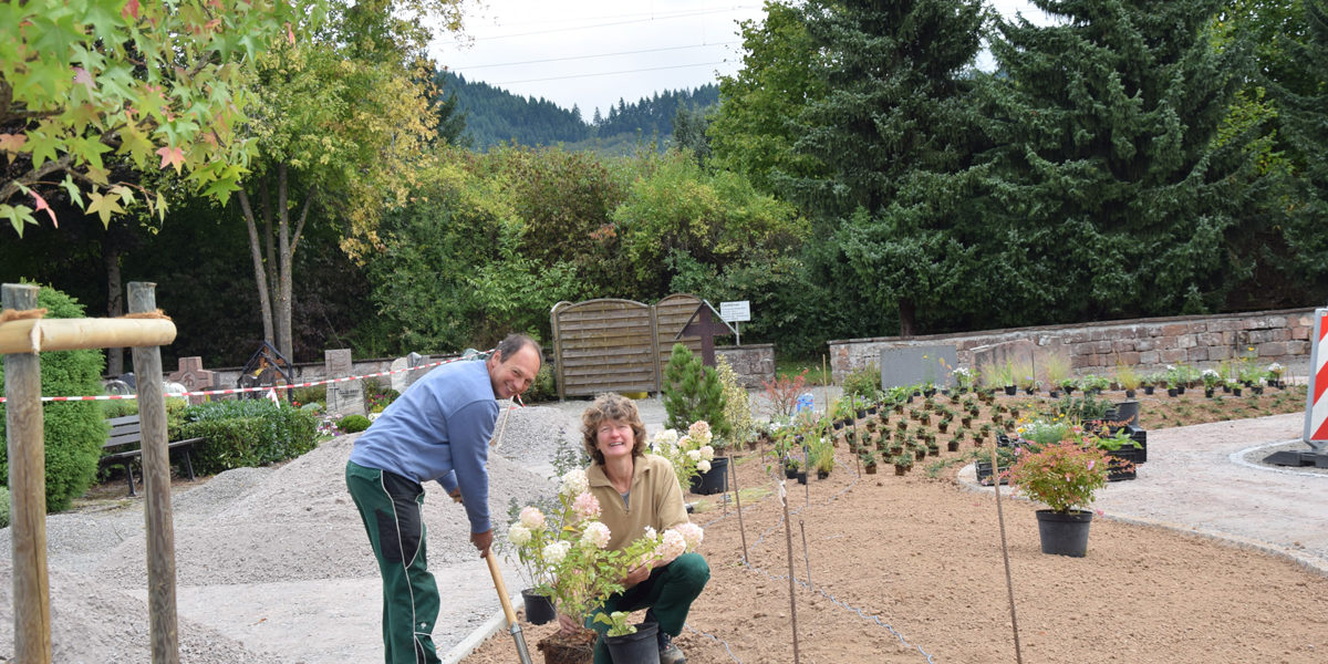 Gärtnergepflegte Grabfelder