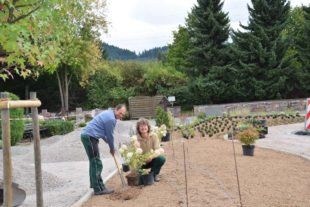 Gärtnergepflegte Grabfelder