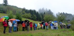 Weinwanderung des Zeller Schwarzwaldvereins