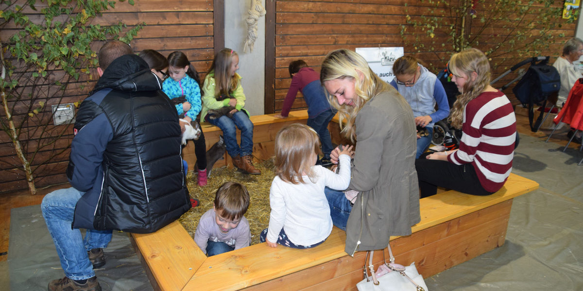 20161016-112530-no-hv-kleintierzucht-lokalschau-2016