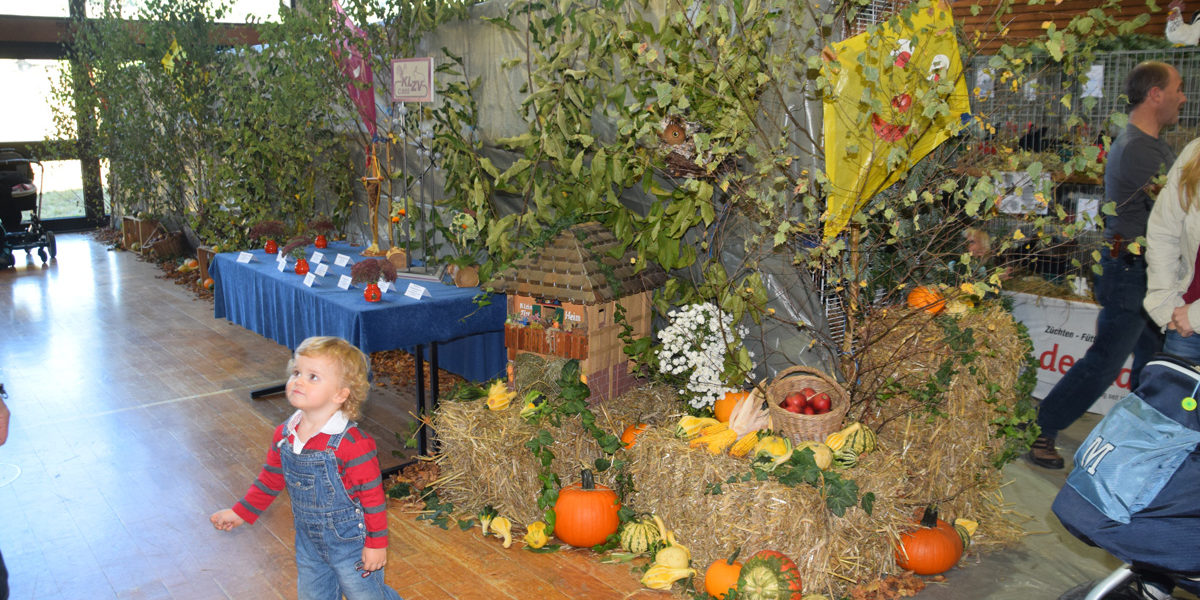 20161016-113126-no-hv-kleintierzucht-lokalschau-2016