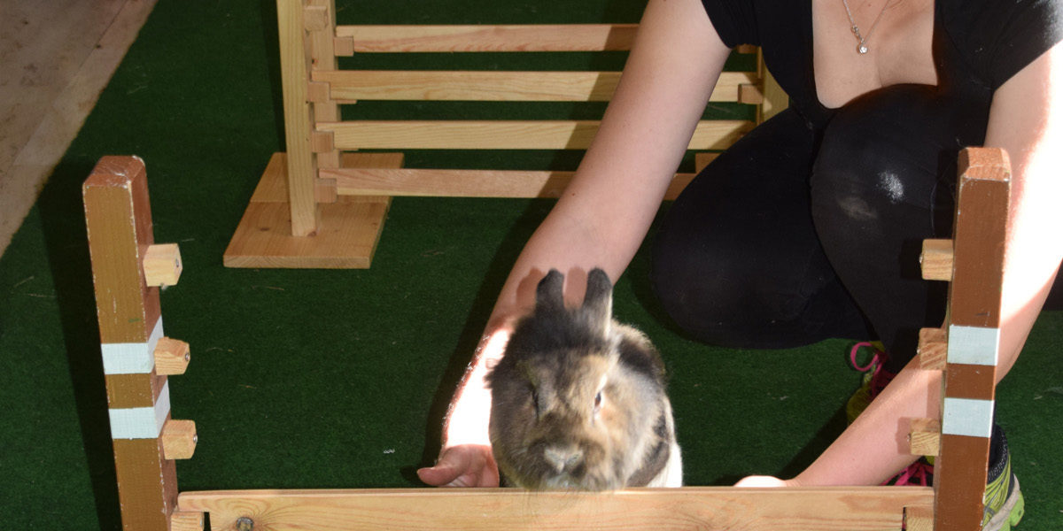 20161016-125721-no-hv-kleintierzucht-lokalschau-2016