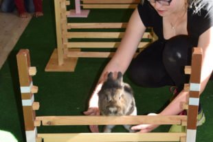 20161016-125721-no-hv-kleintierzucht-lokalschau-2016