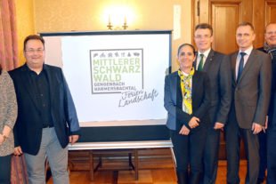 20161019-161244-hps-ferienlandschaft-mittlerer-schwarzwald-gengenbach-harmersbachtal