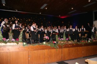 2016-12-12-13-42-36-2016-12-12-7-51-36-2016-12-12-bi-pr-musikverein-prinzbach-027
