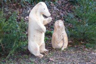 2016-12-14-16-10-44-2016-12-21-ue-seniorenwandergruppe-p1000804