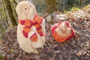 2016-12-14-16-45-42-2016-12-21-ue-seniorenwandergruppe-p1000807