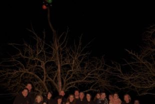 2016-12-19-13-25-49-2016-12-12-6-59-8-2016-12-12-uh-eckwaldhexen-david-mellert