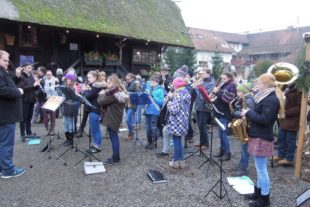 2016-12-22-8-4-45-2016-12-23-uh-hpw-krippe-dscn7858