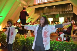 2016-12-3-23-34-24-ue-hps-musikvereinunterentersbach-nikolauskonzert2016-dsc_2134