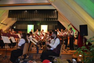 2016-12-3-23-44-4-ue-hps-musikvereinunterentersbach-nikolauskonzert2016-dsc_2138