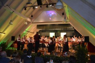 2016-12-3-23-46-58-ue-hps-musikvereinunterentersbach-nikolauskonzert2016-dsc_2149