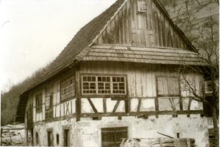 2016-12-7-12-50-13-2016-12-9-oh-histor-16-49-16-12-2016-granatschliefe-ha%cc%88usle-krummholze