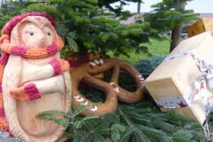 2016-12-8-6-24-29-2016-12-9-oh-bia-ma%cc%88rchenweg-einstieg-ma%cc%88rchenweg