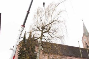 20161125-111523-oh-kal-birke-vor-pfarrzentrum-entfernt