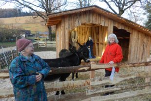 20161130-170744-uh-hpw-krippenausstellung-2016