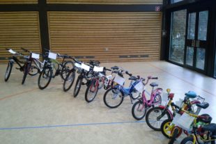 2017-1-16-18-16-8-2017-1-18-uh-kinderfahrzeugboerse-image1