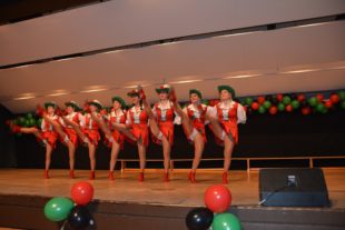 2017-1-21-22-42-16-2017-1-23-uh-ds-hexenball-dsc_3255