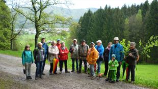 Hase versteckte seine Nester rund um den »Stefanshof«