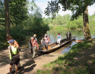 Schwarzwaldverein durchquert mit  dem Boot und zu Fuß das Taubergießen