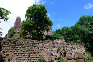 2017-6-29-6-54-7-2017-6-30-ze-uh-reinhard-heizmann-wuf-wanderung-elsass-groeßte-burg-1