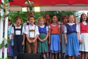 2014-7-24-Schwarzwälder Post-Archiv-Talfinken-Bild