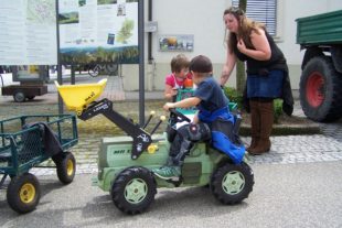 2017-1-1-11-12-8-100_4711