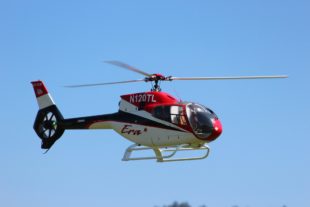 2017-7-17-12-41-47-2017-7-5-15-22-12-2017-7-17-bi-robert-piskadlo-grashuepfer-bi-freundschaftsfliegen-1