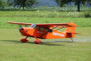 2017-7-17-12-41-48-2017-7-5-15-22-17-2017-7-17-bi-robert-piskadlo-grashuepfer-bi-freundschaftsfliegen-2