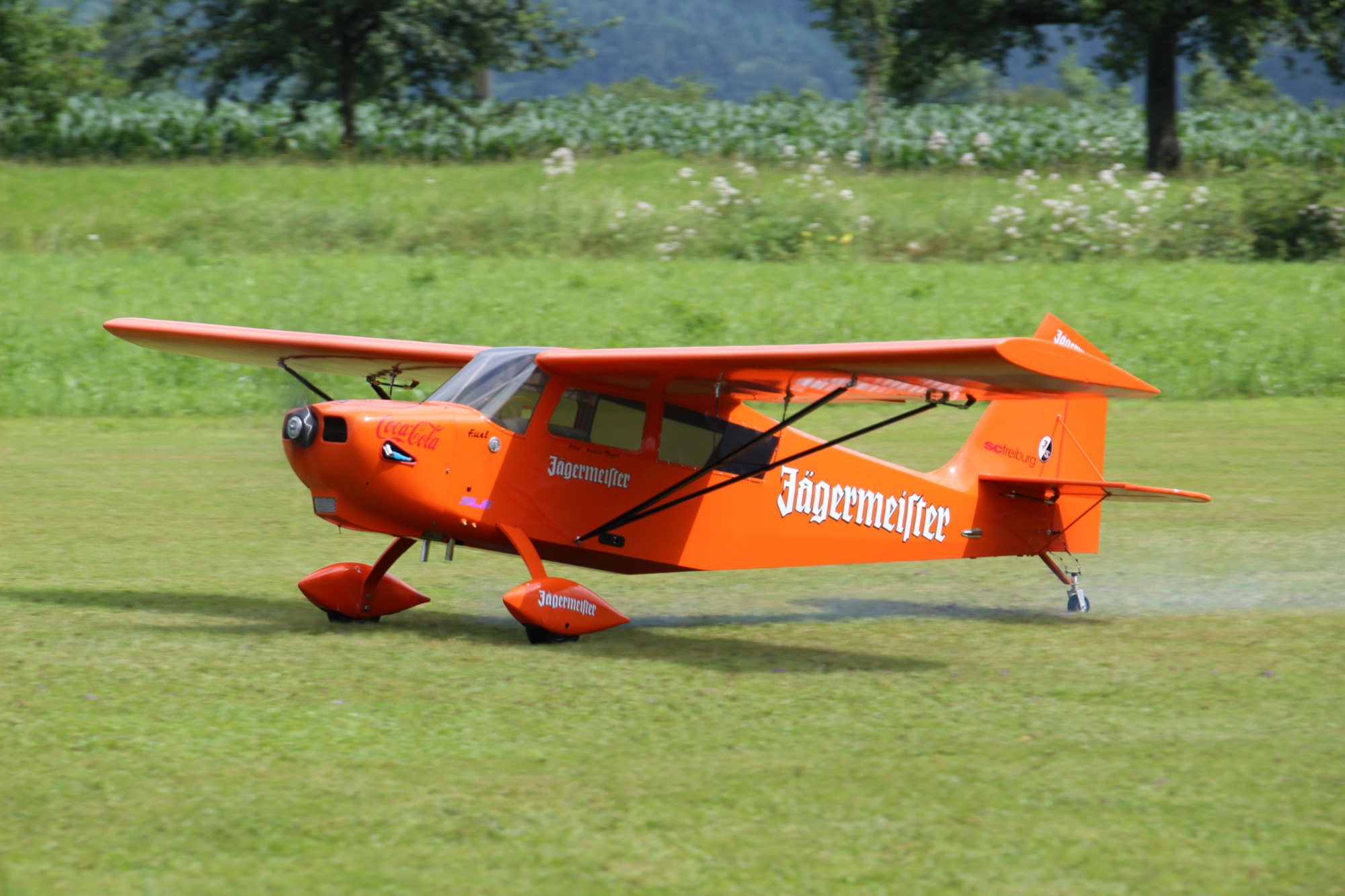 2017-7-17-12-41-48-2017-7-5-15-22-17-2017-7-17-bi-robert-piskadlo-grashuepfer-bi-freundschaftsfliegen-2