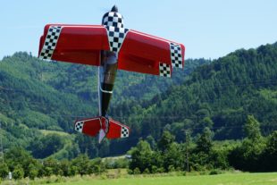 2017-7-17-12-41-49-2017-7-5-15-22-21-2017-7-17-bi-robert-piskadlo-grashuepfer-bi-freundschaftsfliegen-3