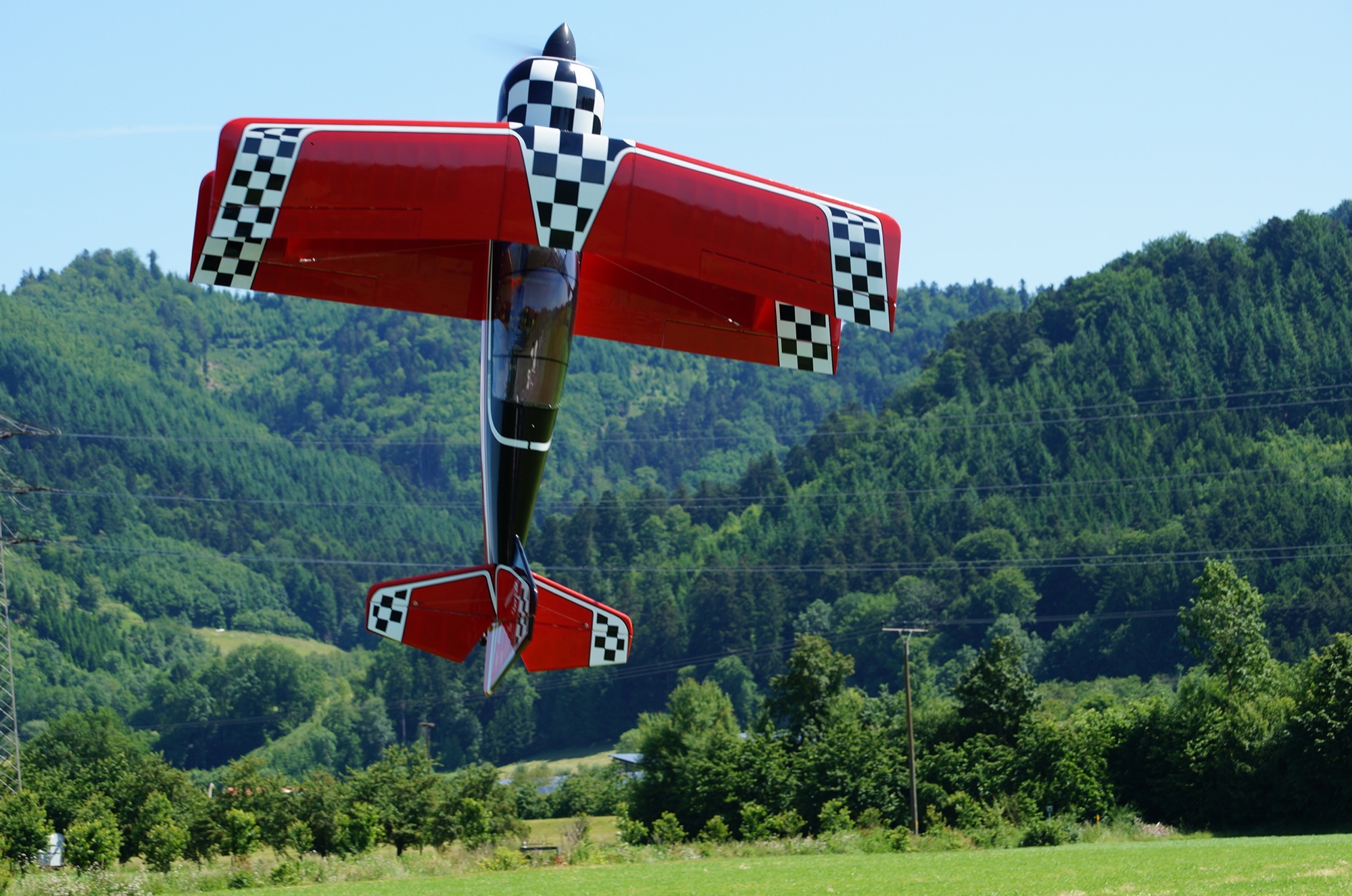 2017-7-17-12-41-49-2017-7-5-15-22-21-2017-7-17-bi-robert-piskadlo-grashuepfer-bi-freundschaftsfliegen-3