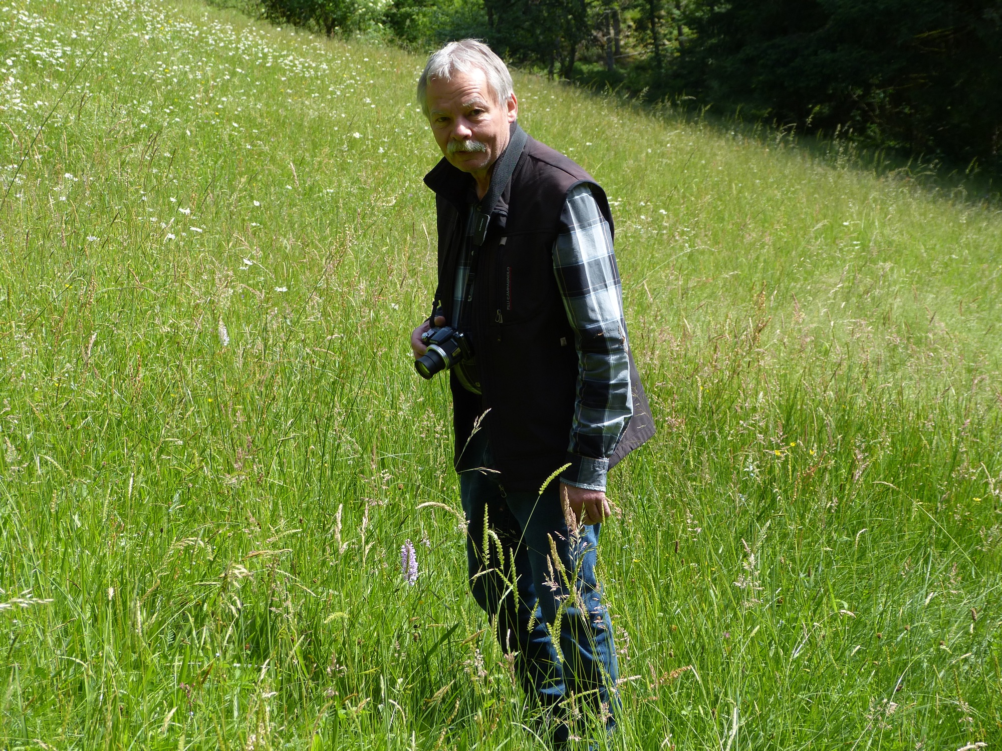 2017-7-18-6-58-23-2017-7-19-no-bia-wildorchideen-siggi-4