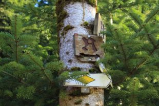 2017-7-18-7-17-15-2017-7-19-oh-tourist-info-wanderung-zum-kabarett-img_8276_klein