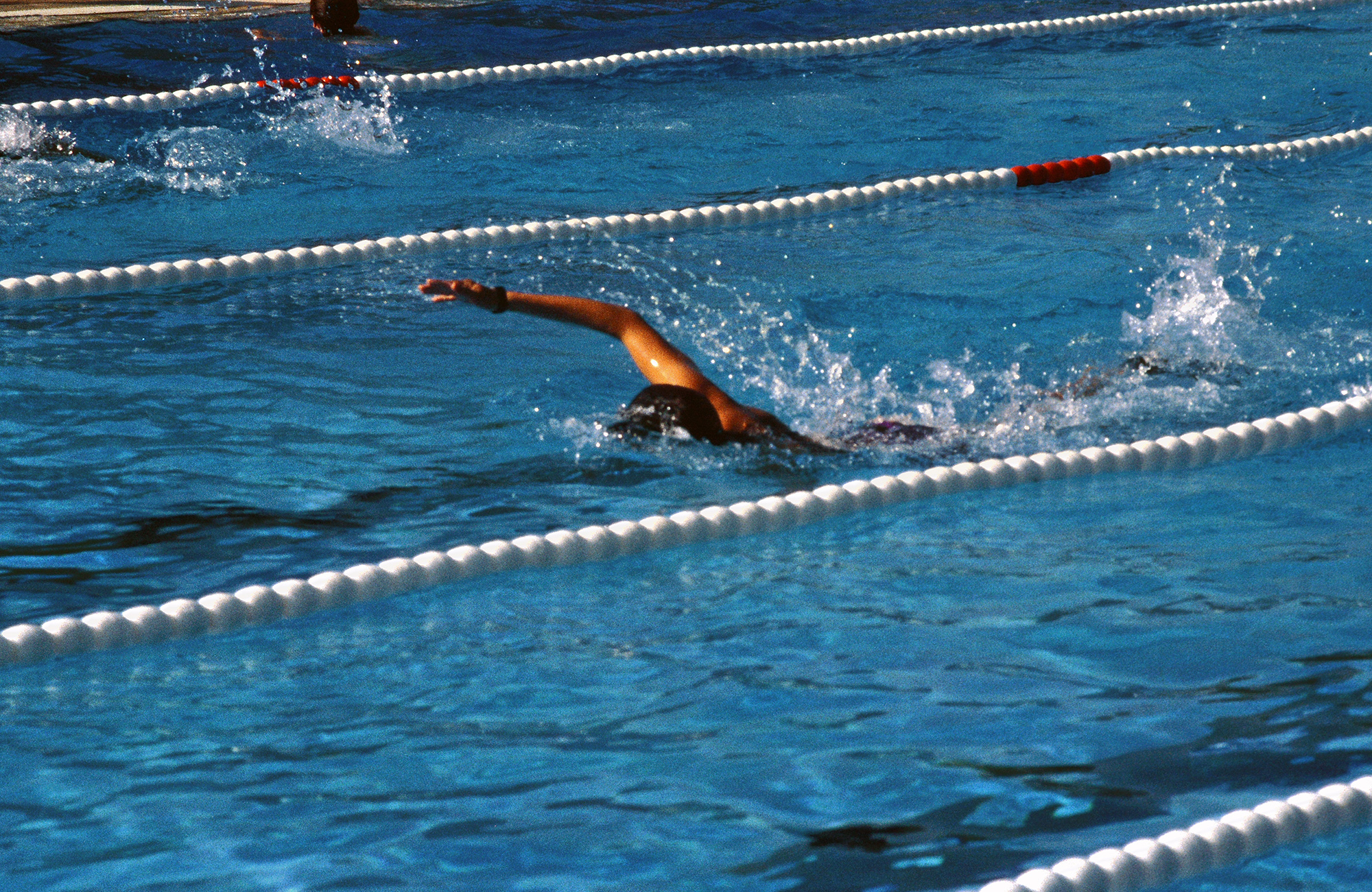 2017-7-19-ZE-BI-DLRG Biberach-Jubiläum-50 Jahre-Spendenschwimmen-Schwimmer