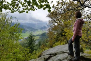 2017-7-20-12-2-9-2017-7-21-no-gemeinder-no-urlaub-zu-hause-in-nordrach-genießen-wandern-auf-dem-katzenstein_bq-cm_komp