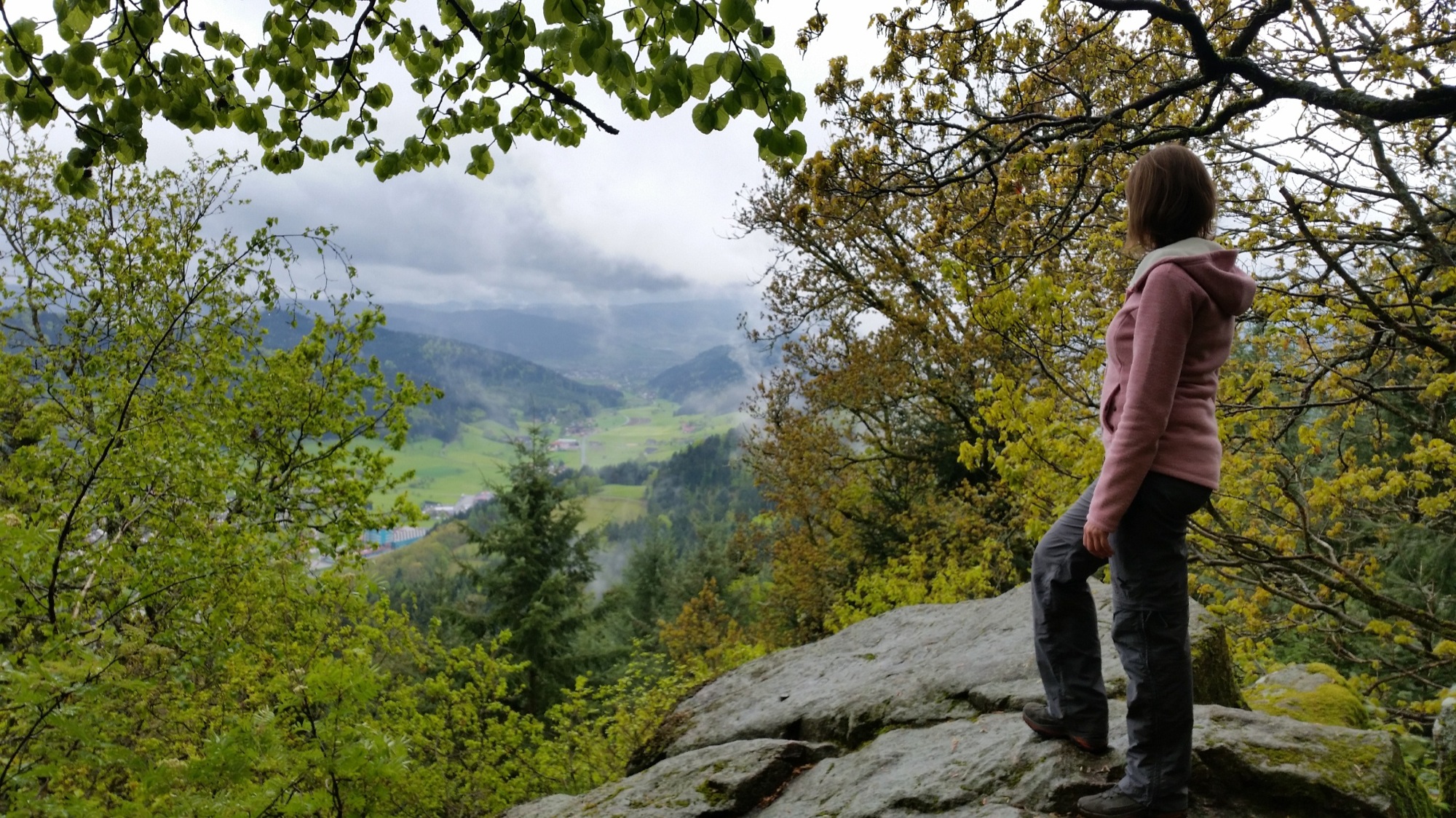 2017-7-20-12-2-9-2017-7-21-no-gemeinder-no-urlaub-zu-hause-in-nordrach-genießen-wandern-auf-dem-katzenstein_bq-cm_komp