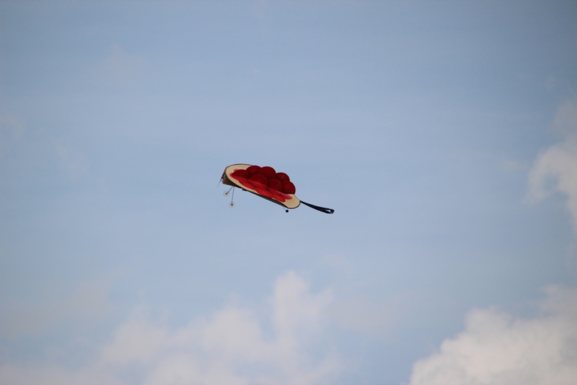 2017-7-24-12-37-32-2017-7-24-8-44-28-2017-7-24-bi-robert-piskadlo-grashuepfer-bi-freundschaftsfliegen-presse-(1)