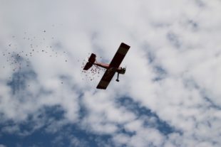 2017-7-24-12-37-33-2017-7-24-8-44-29-2017-7-24-bi-robert-piskadlo-grashuepfer-bi-freundschaftsfliegen-presse-(2)