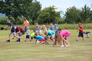 2017-7-24-12-37-33-2017-7-24-8-44-31-2017-7-24-bi-robert-piskadlo-grashuepfer-bi-freundschaftsfliegen-presse-(3)
