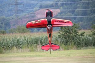 2017-7-24-12-37-34-2017-7-24-8-44-32-2017-7-24-bi-robert-piskadlo-grashuepfer-bi-freundschaftsfliegen-presse-(4)