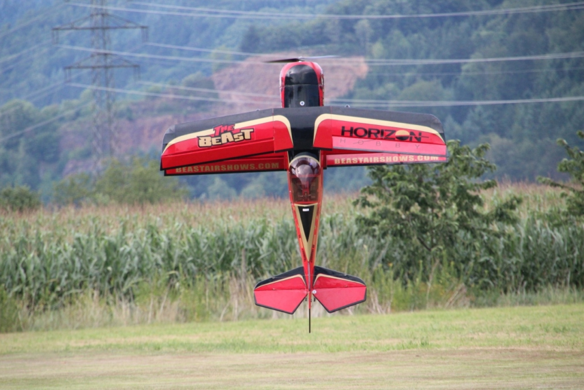 2017-7-24-12-37-34-2017-7-24-8-44-32-2017-7-24-bi-robert-piskadlo-grashuepfer-bi-freundschaftsfliegen-presse-(4)
