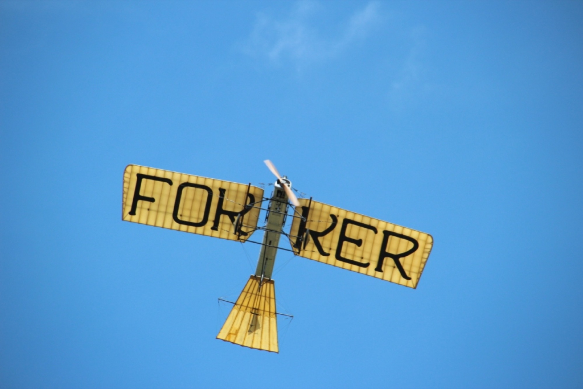 2017-7-24-12-37-35-2017-7-24-8-44-38-2017-7-24-bi-robert-piskadlo-grashuepfer-bi-freundschaftsfliegen-presse-(8)