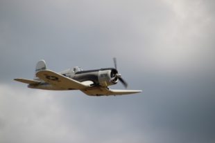 2017-7-24-12-37-35-2017-7-24-8-44-39-2017-7-24-bi-robert-piskadlo-grashuepfer-bi-freundschaftsfliegen-presse-(9)