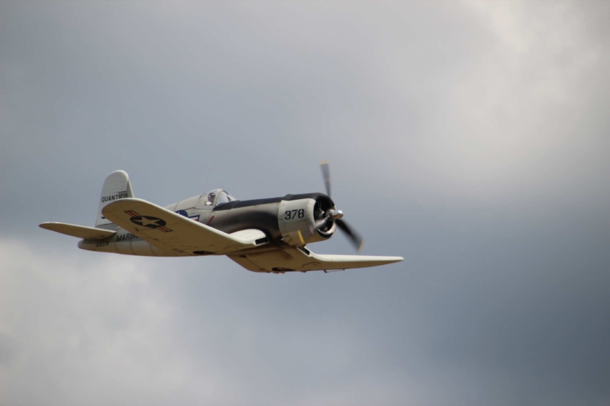 2017-7-24-12-37-35-2017-7-24-8-44-39-2017-7-24-bi-robert-piskadlo-grashuepfer-bi-freundschaftsfliegen-presse-(9)