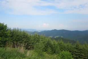 2017-7-24-12-37-36-2017-7-24-7-20-38-2017-7-24-no-cs-2-nordracher-wildtiertag-img_1051